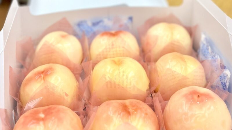 まるごと桃ちゃんの季節がやってきました！